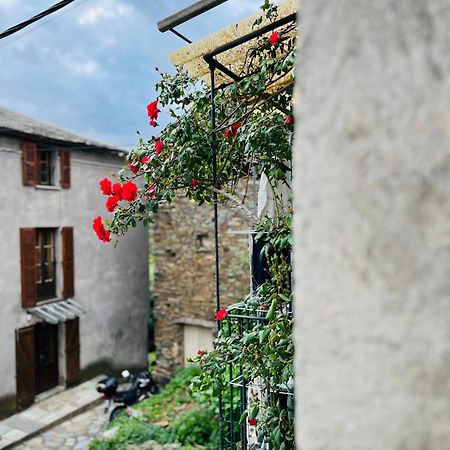 Tres Jolie Maison Aux Portes Du Cap Corse Sisco Exteriér fotografie
