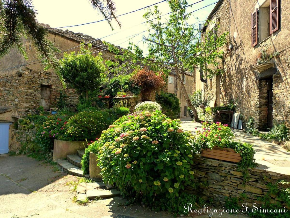 Tres Jolie Maison Aux Portes Du Cap Corse Sisco Exteriér fotografie
