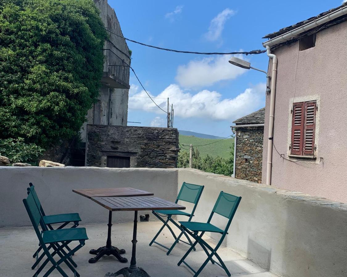 Tres Jolie Maison Aux Portes Du Cap Corse Sisco Exteriér fotografie