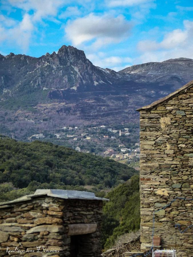 Tres Jolie Maison Aux Portes Du Cap Corse Sisco Exteriér fotografie